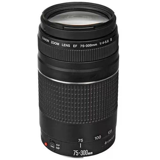 Canon EF 75-300mm 1:4-5.6 lll (Producto Único)