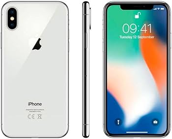 iPhone X 256GB