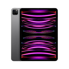 iPad Pro 11" 4th Gen 256GB (Producto Unico)