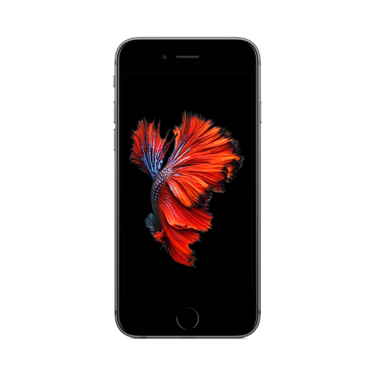 iPhone 6