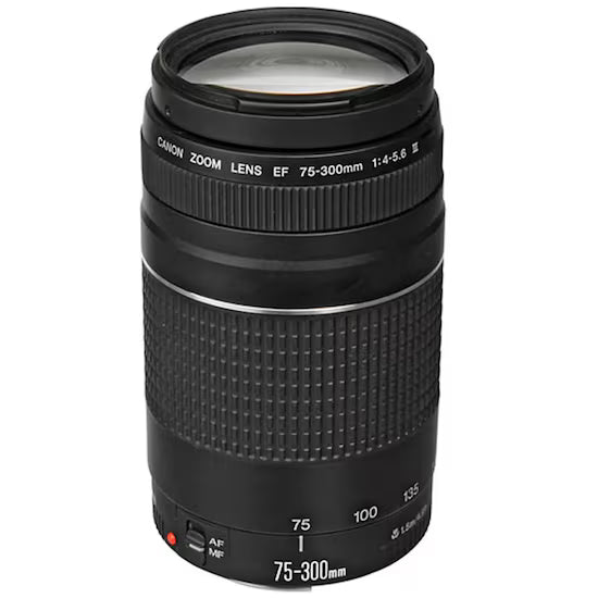 Canon EF 75-300mm 1:4-5.6 lll (Producto Único)