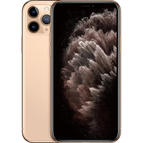 iPhone 11 Pro Max 64GB (Producto Unico)