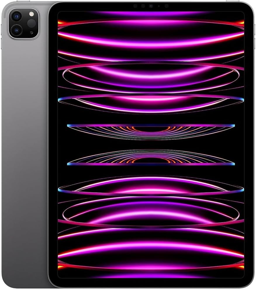 iPad Pro 11" M2 256GB A2759 (Producto Unico)