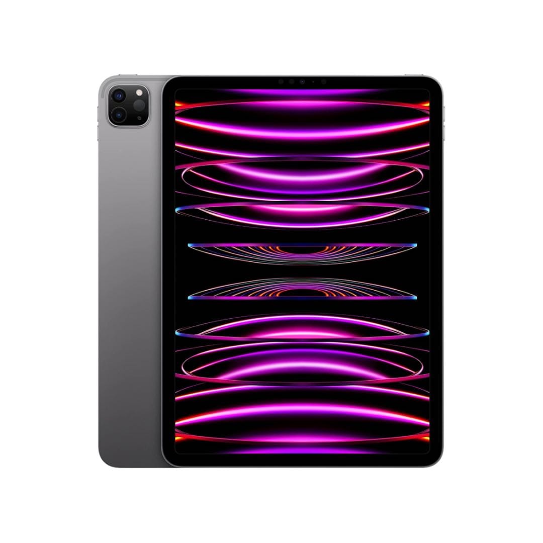iPad Pro 11" 4th Gen 2TB (Producto Único)