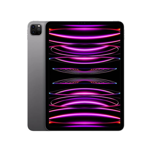 iPad Pro 11" 4th Gen 2TB (Producto Único)
