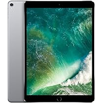 iPad Pro 10.5" 256GB (Producto Único)
