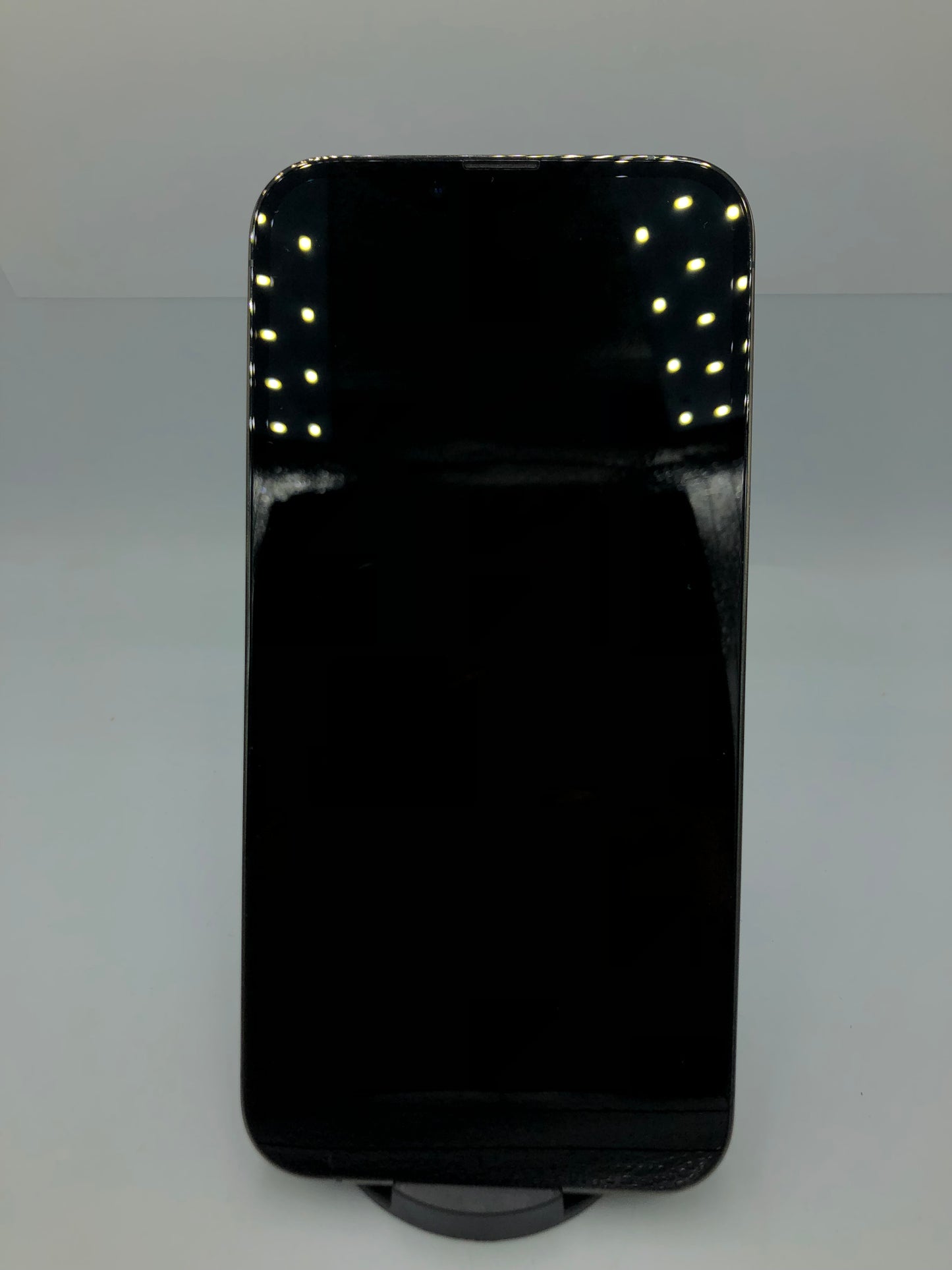 iPhone 13 Pro Max (producto unico)