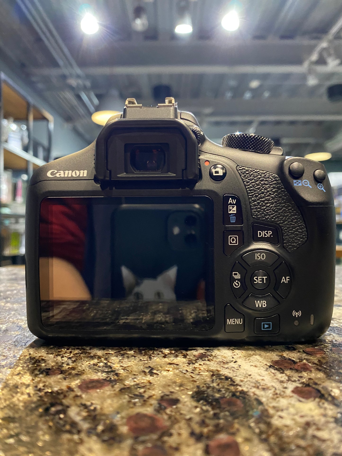 Canon EOS Rebel T6 + 18-55mm (Producto Unico)