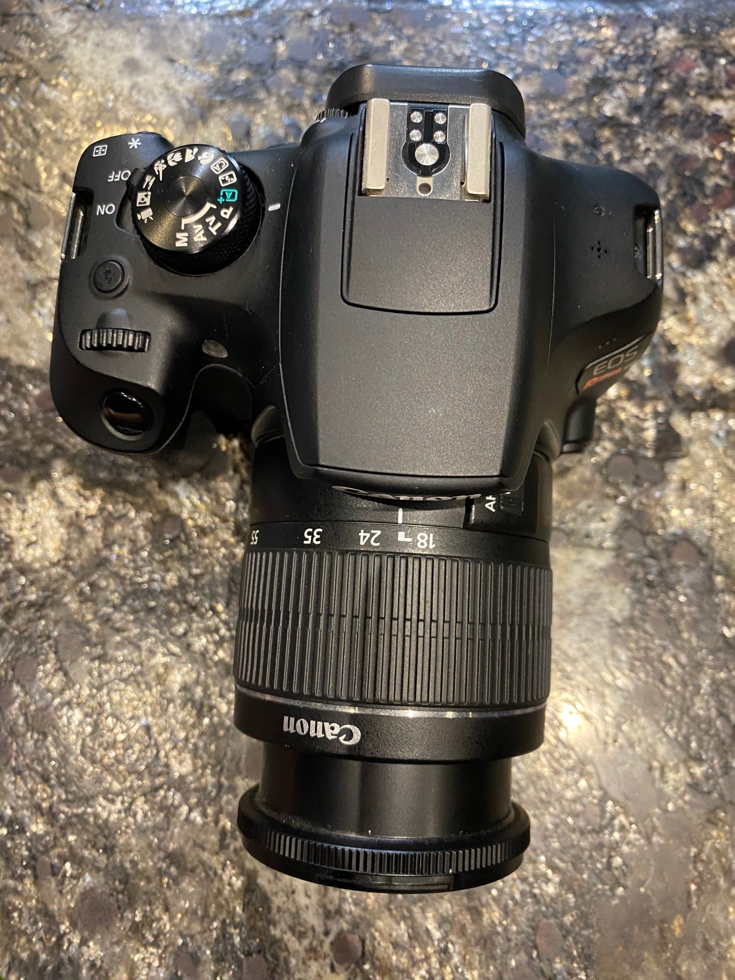 Canon EOS Rebel T6 + 18-55mm (Producto Unico)
