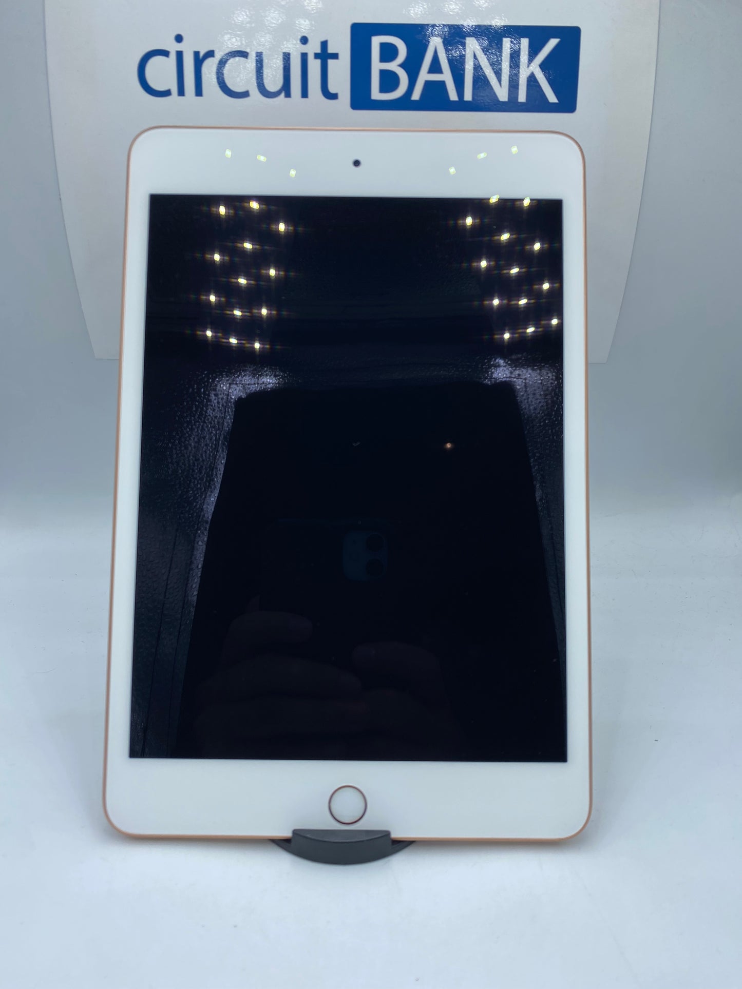 iPad mini 5th Generación 256GB (Producto Único)