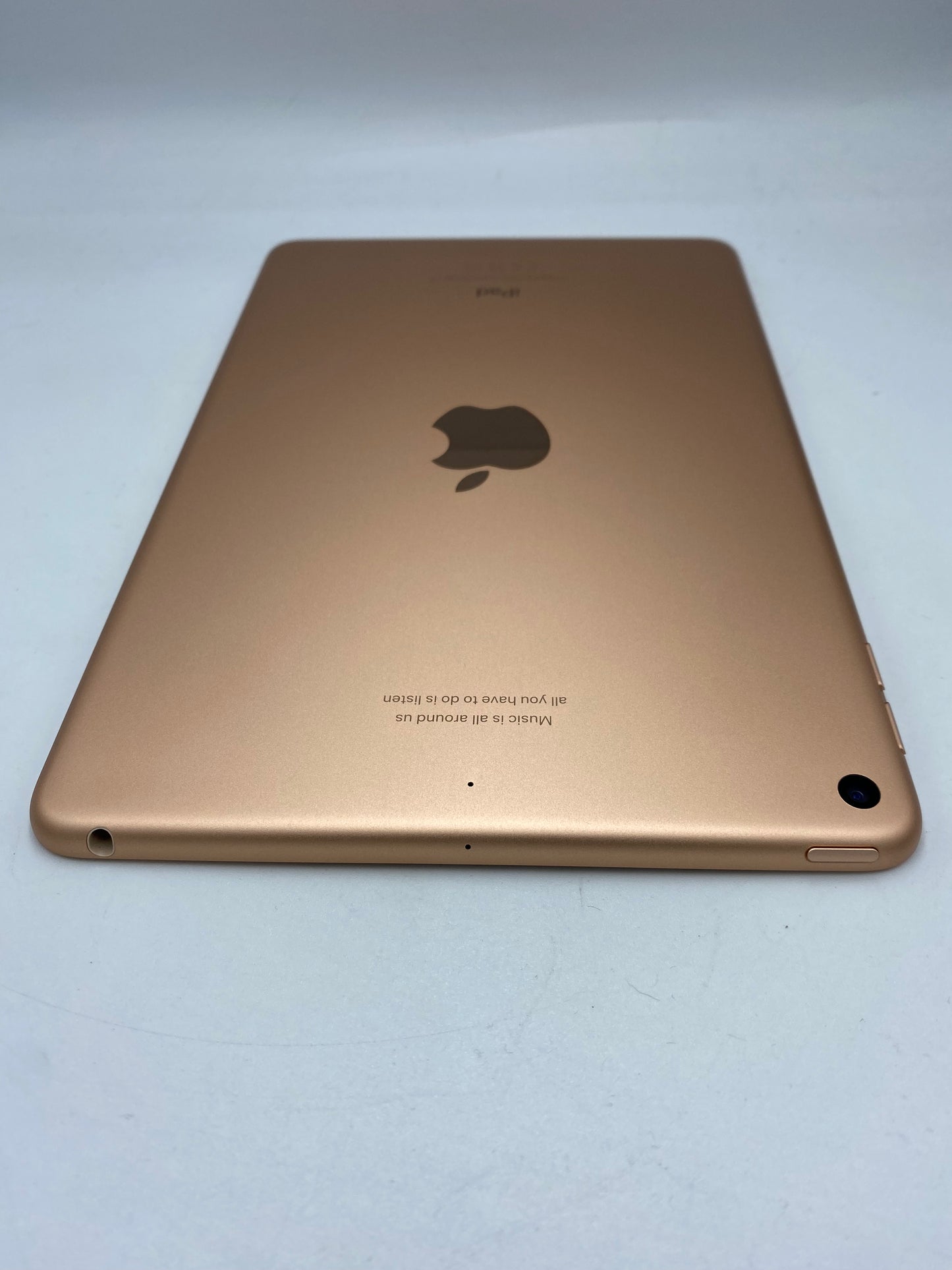 iPad mini 5th Generación 256GB (Producto Único)