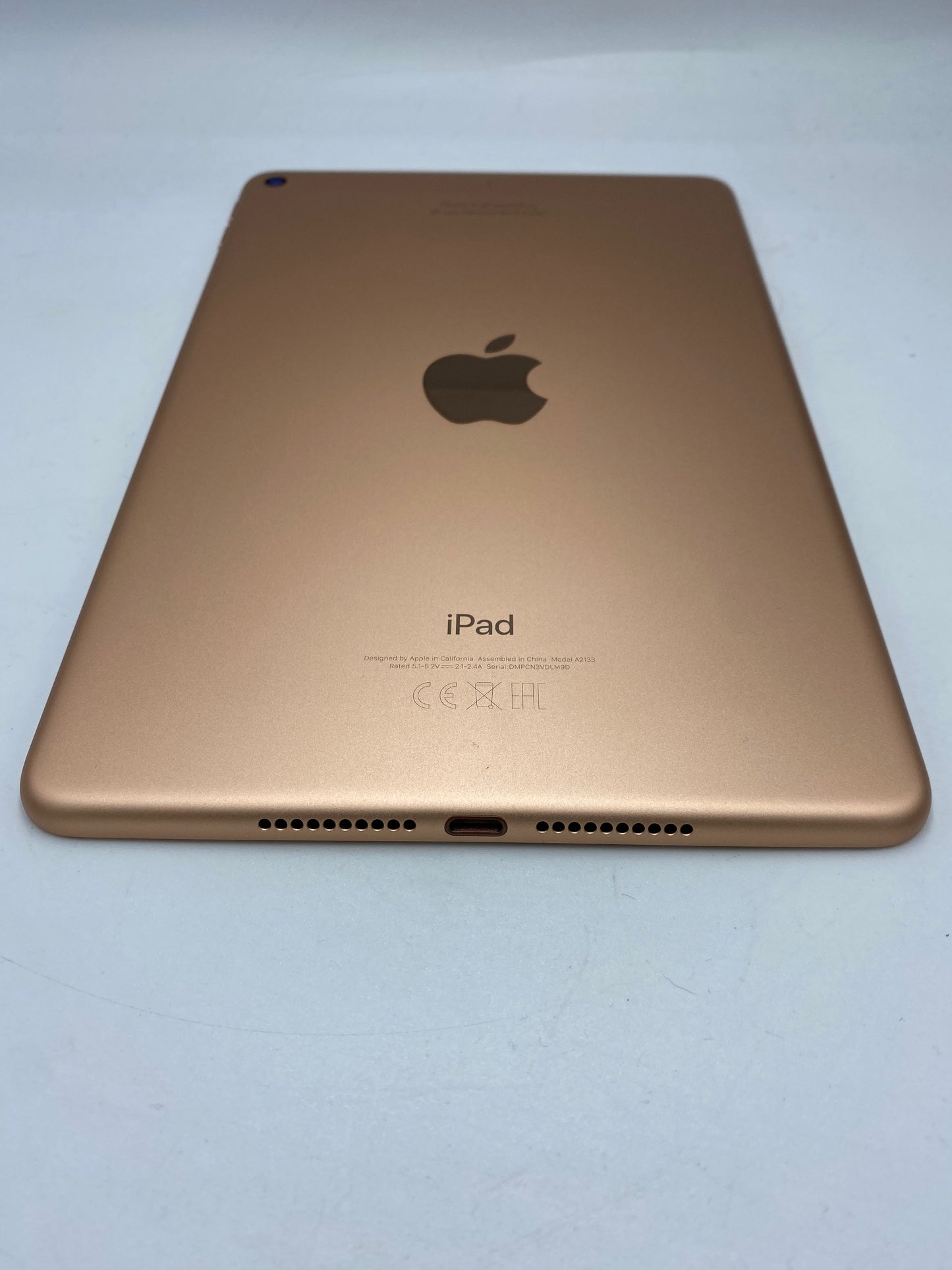 iPad mini 5th Generación 256GB (Producto Único)