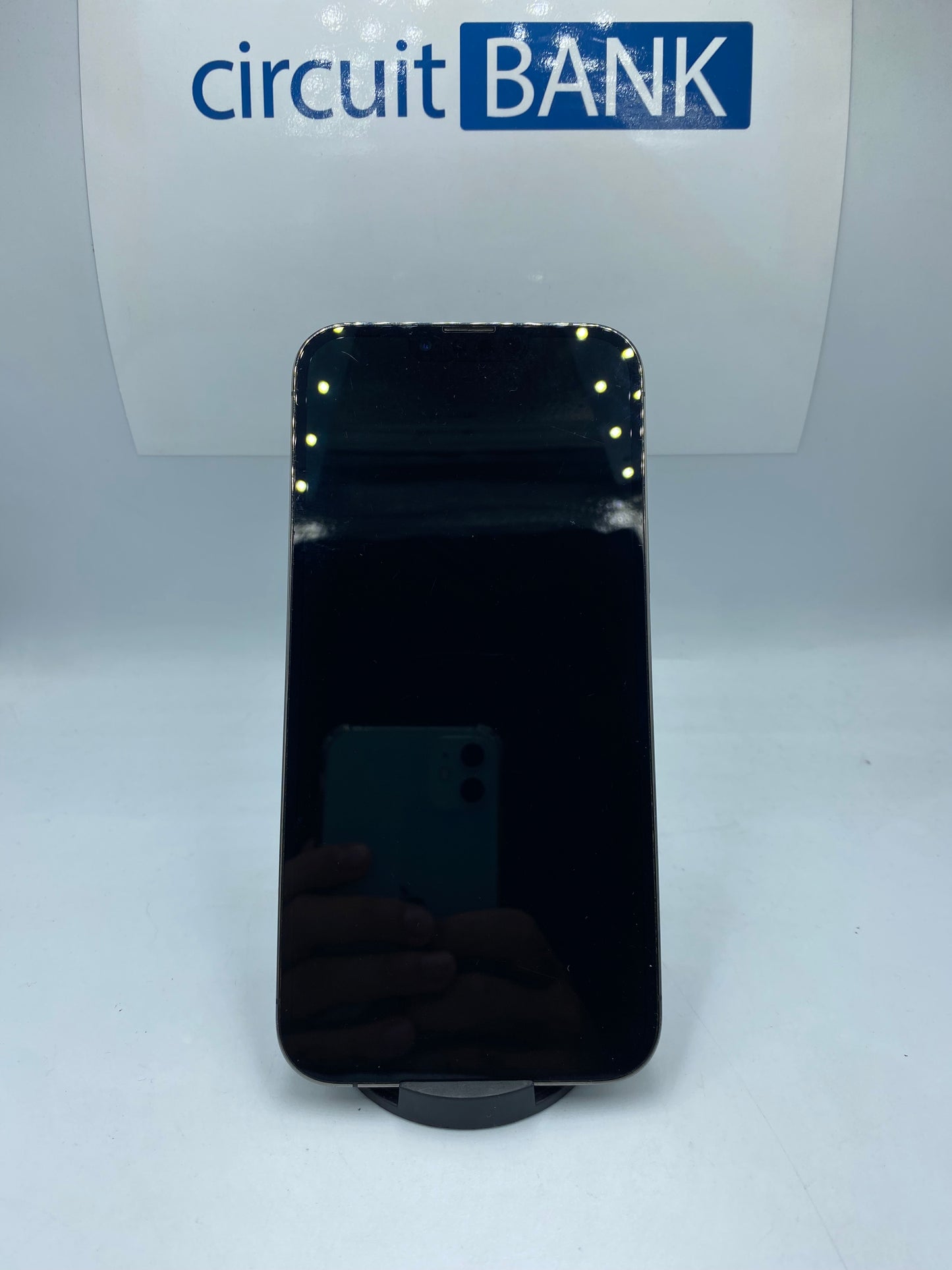 iPhone 13 Pro Max (Producto ùnico)