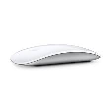 Apple Magic Mouse 2 (Producto Unico)