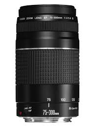 Lente Canon 75-300mm (Producto Único)