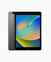 iPad 9th 256gb