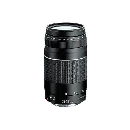Lente Canon 75-300mm (Producto Único)