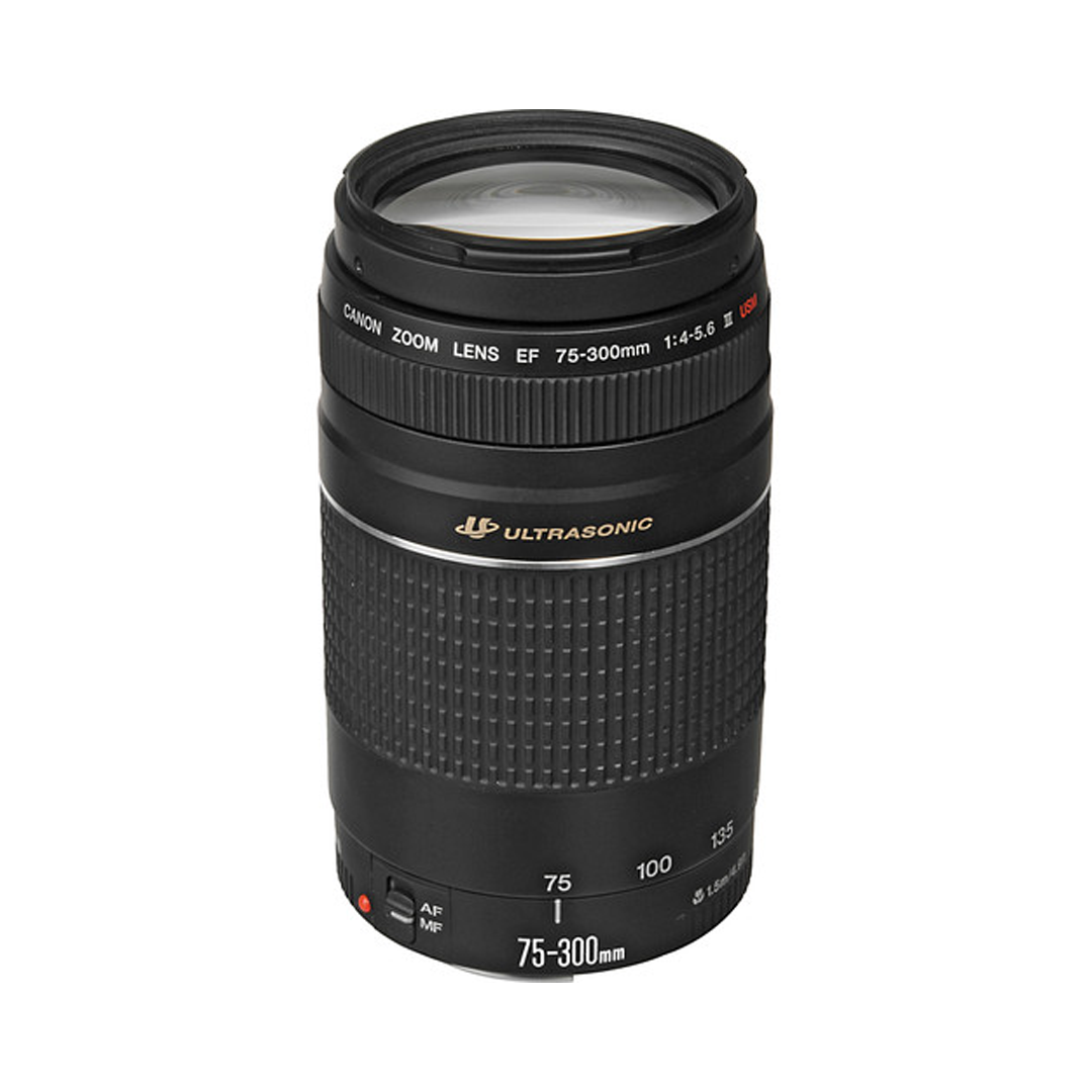 Lente Canon EF 75-300mm f/4-5.6 III USM Ultrasonic (Producto Único)