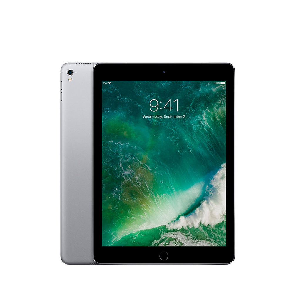 iPad Pro 9.7 1a Gen / Wifi + Cellular