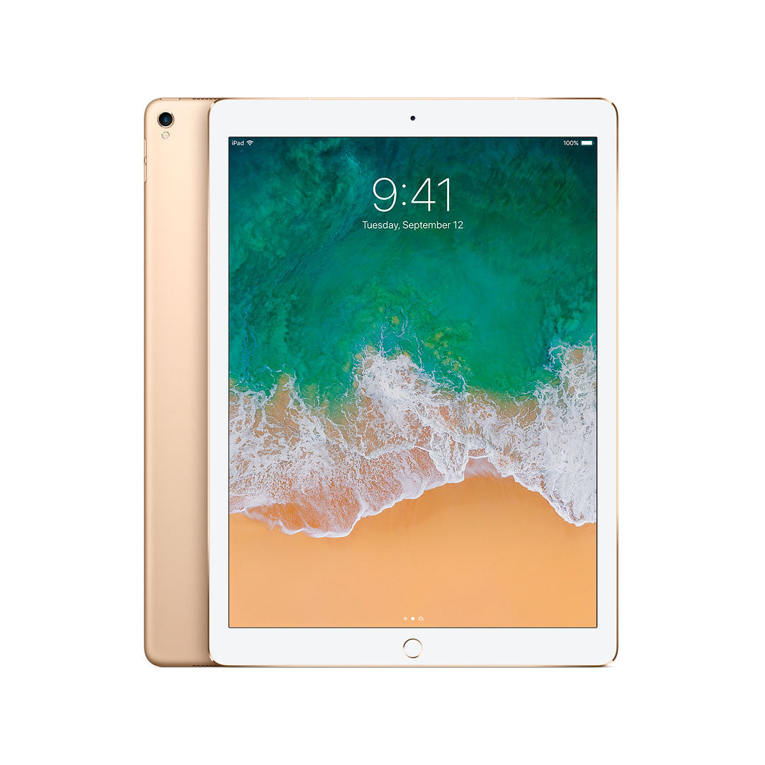 iPad Pro 11" 2Gen / Wifi + Cellular