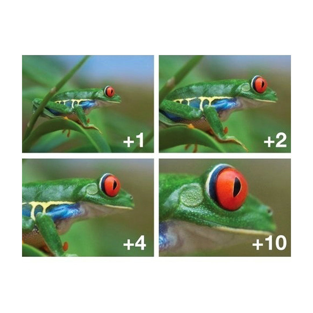 Lentillas Macro 49mm Vivitar +1 +2 +4 +10 Con Estuche