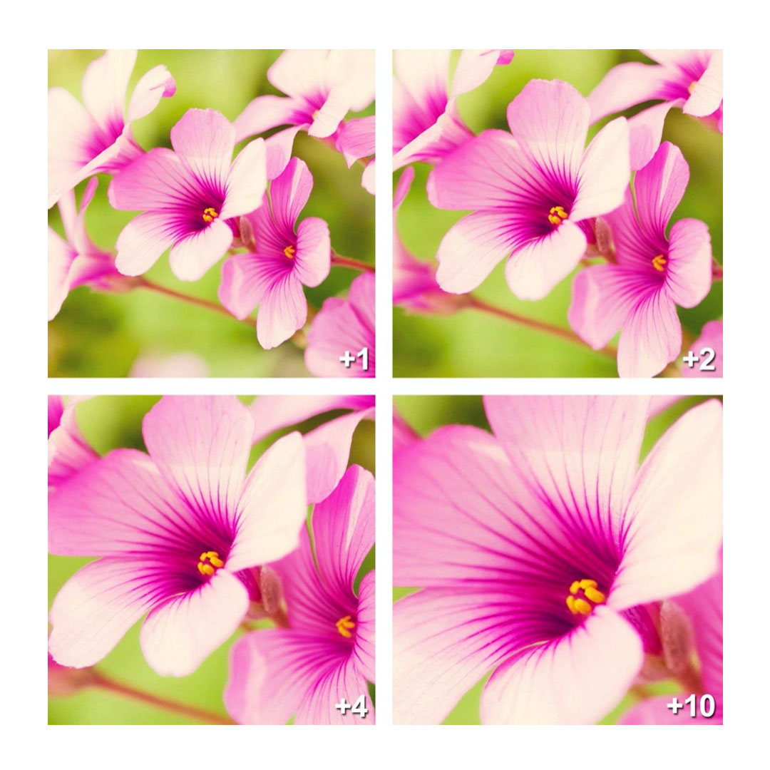 Lentillas Macro 49mm Vivitar +1 +2 +4 +10 Con Estuche