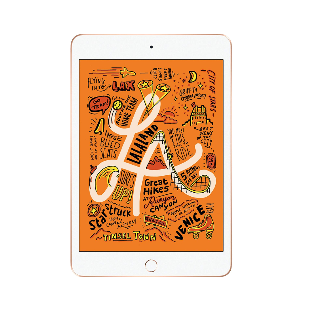 iPad mini 5th generación 64gb (Producto Único)